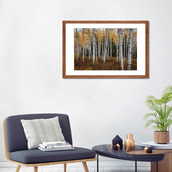 iCanvas "Aspen Forest In Autumn" by Bill Sherrell PFA