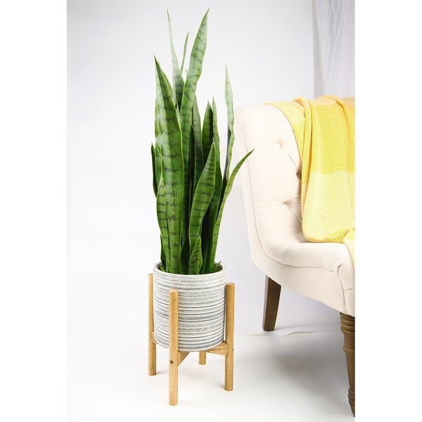 UPshining Mid Century Ceramic Planter 8" Gray with Wood Stand