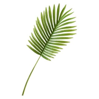 Small Hawaiian Palm Leaf (Set of 3)