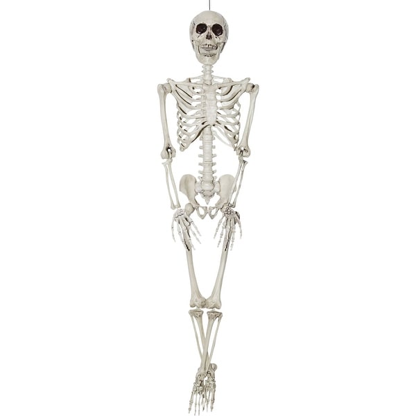 36" White Realistic Hanging Skeleton Halloween Prop