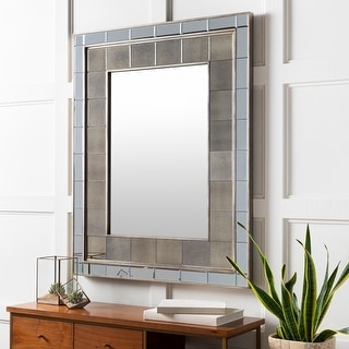 Harriett Transitional Glass Mirror - 50"H x 40"W