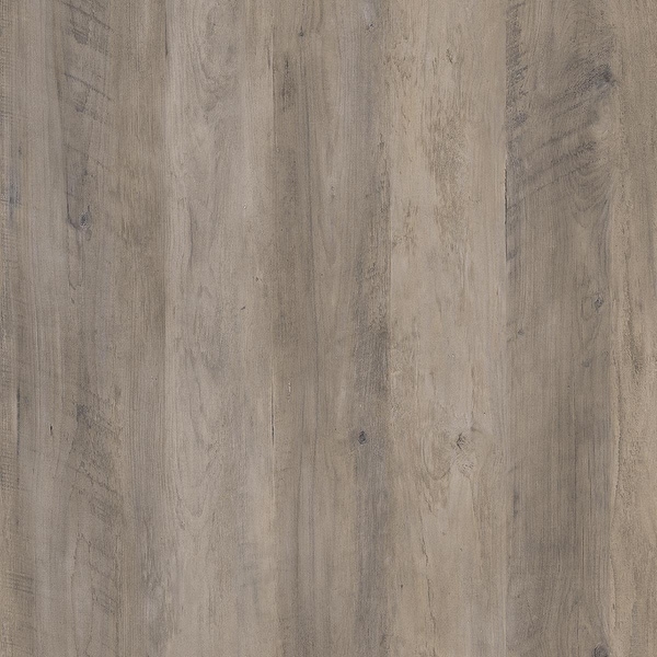 Systembuild Evolution Derzig 2 Door Kitchen Pantry Cabinet