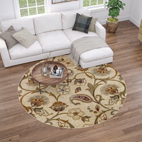 Infinity Transitional Floral Indoor Area Rug