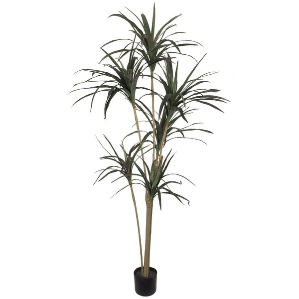 Dracena Marginata , 6 Ft 146 Silk Leaves Black Pot - 6 Feet