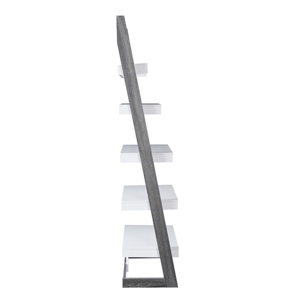 Liri Contemporary 5-Shelf Open Back Leaning Bookcase by Furniture of America