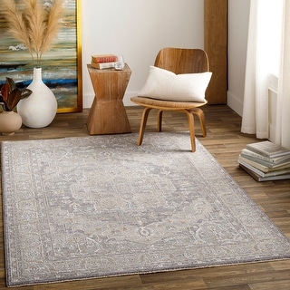 Artistic Weavers Florina Vintage Distressed Area Rug