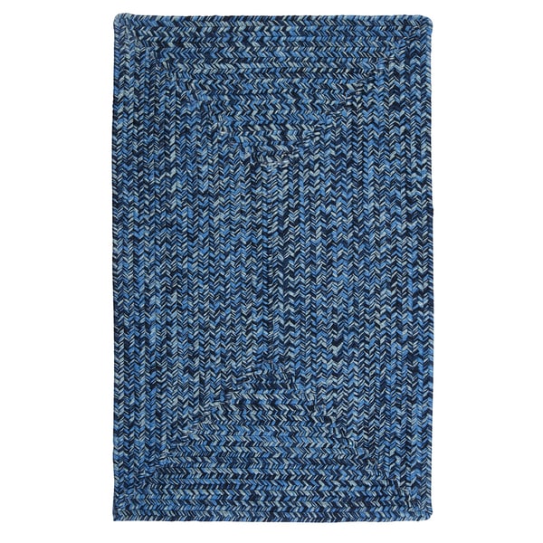 Ocean's Edge Braided Indoor/ Outdoor Area Rug