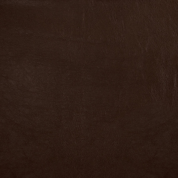 Rylee Rolled Arm Sectional with Pillows