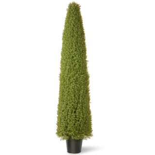 72-inch Boxwood Tree with Green Pot