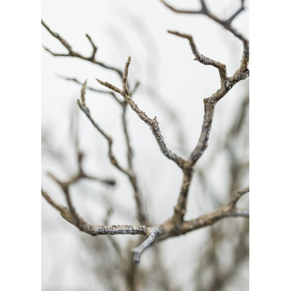 Manzanita 72 Inch Faux Botanical Plant