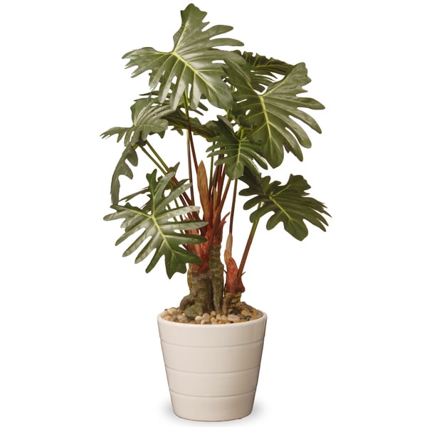 21-inch Philodendron Plant in Green Ceramic Pot