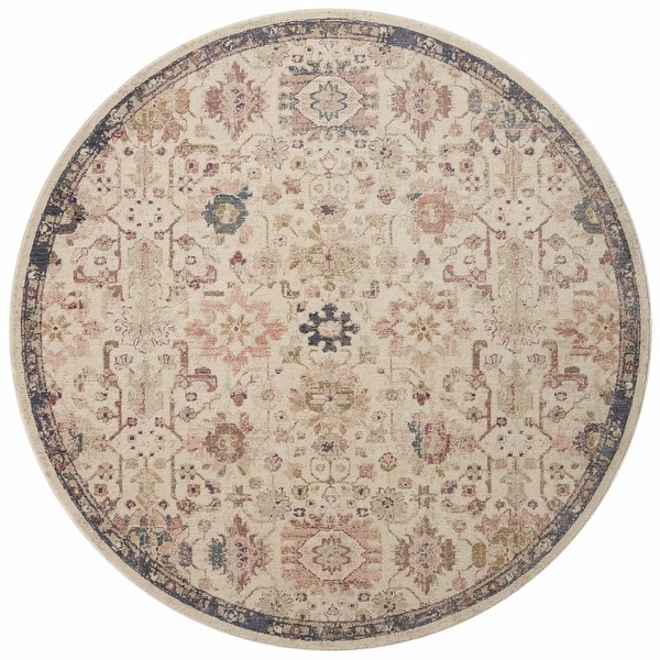 Alexander Home Jewel Shabby-Chic Oriental Area Rug