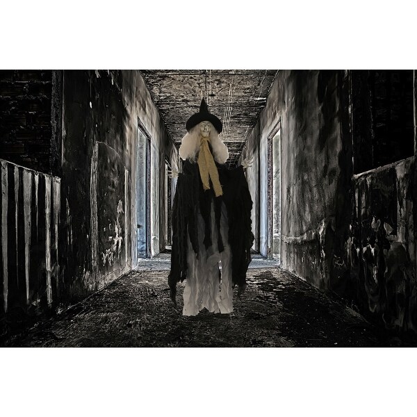 Haunted Hill Farm 3.75-ft. Witch, Indoor/Covered Outdoor Halloween Decoration, LED Red Eyes, Poseable, Battery-Operated, Wanda