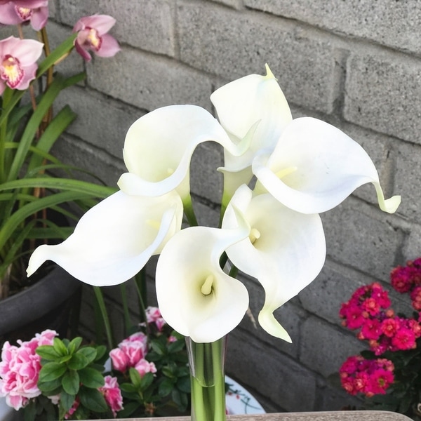 Enova Home Cream Artificial Velet Lily Fake Silk Flowers Arrangement in Clear Glass Vase with Faux Water for Home Office Decor