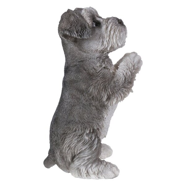 8.25" Praying Schnauzer Puppy Outdoor Garden Statue