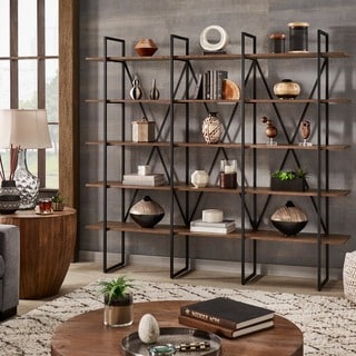 Sayler X-Back Metal Bookshelf with Walnut Finish by iNSPIRE Q Artisan
