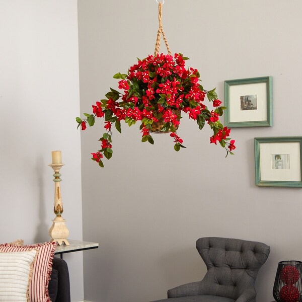 Bougainvillea Hanging Basket - Red