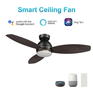 Quest 48-inch Indoor/Outdoor Smart Ceiling Fan, Dimmable LED Light Kit & Remote, Works with Alexa/Google Home/Siri