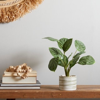 The Novogratz Green Faux Foliage Calathea Artificial Plant with Patterned Porcelain Pot - 9.80 x 10.60 x 15.95