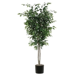Vickerman 7' Green Ficus Everyday Tree