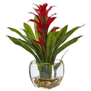 Bromeliad with Vase Arrangement - 11"W x 11"D x 12"H