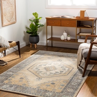 Artistic Weavers Delfina Handmade Traditional Area Rug
