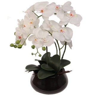 Set of 2 Orchid Flower Arrangement I18 Inch x 19 Flowers Black Vase - Set of Two