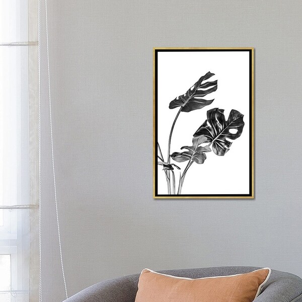 iCanvas "Monstera Black and White II" by amini54 Framed Canvas Print