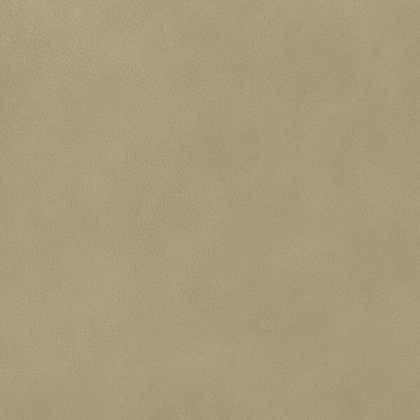 Retro industrial genuine leather barrel chair with nailhead Set of 2 by HULALA HOME