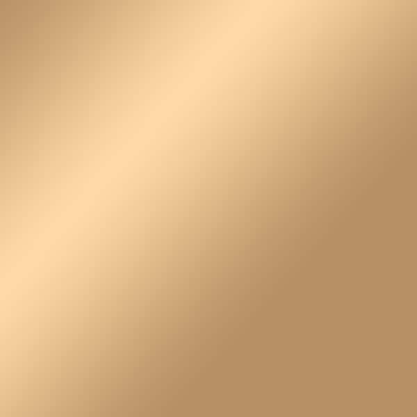 SEI Furniture Glenavon Contemporary Gold Metal Fireplace Screen