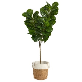 6' Fiddle Leaf Fig in Natural Jute and Cotton Planter