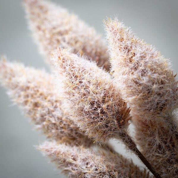 Sullivans Artificial Rose Blush Cone Stem 25"H Purple - 4"L x 3"W x 25"H