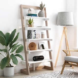 Liri Contemporary 5-Shelf Open Back Leaning Bookcase by Furniture of America