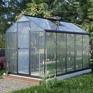 Aoodor 6' x 10' Walk-in Greenhouse Polycarbonate Panel Hobby Greenhouses
