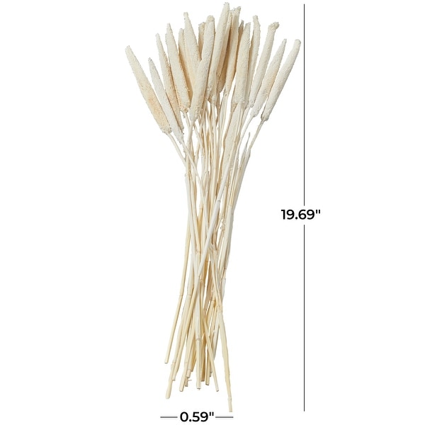 Dried Hogla Babala Bamboo Natural Foliage Collection - Multiple Colors