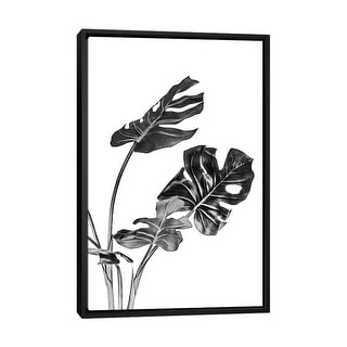 iCanvas "Monstera Black and White II" by amini54 Framed Canvas Print
