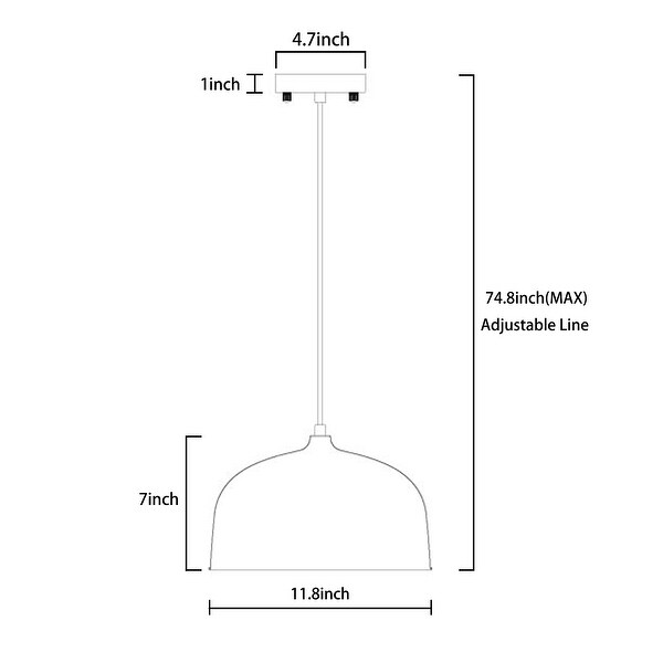 Matte Black Pendant Lighting Fixture