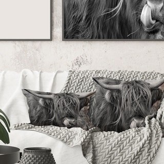 Designart 'Scottish Cow On Moorland II' Farmhouse Printed Throw Pillow