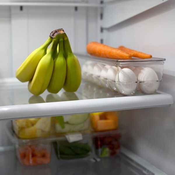 14 Egg Plastic Holder with Lid, Plastic