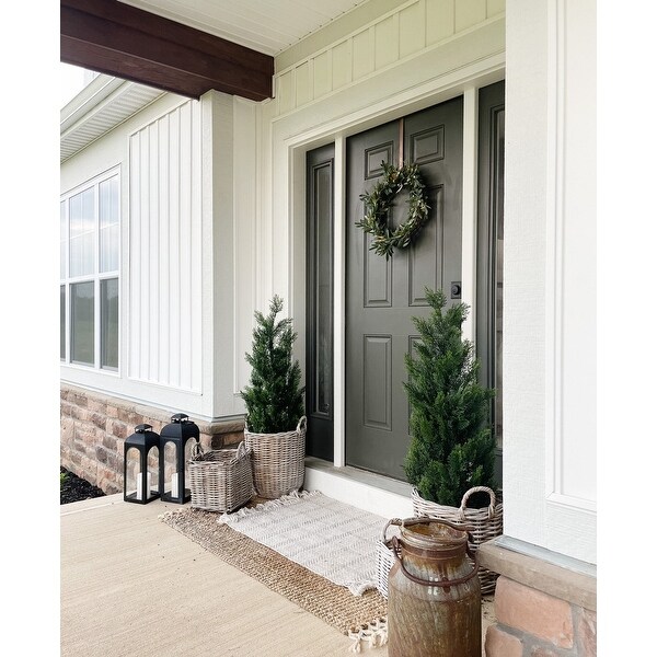3' Mini Cedar Pine Tree (Indoor/Outdoor) - 17"D x 18"W x 36"H