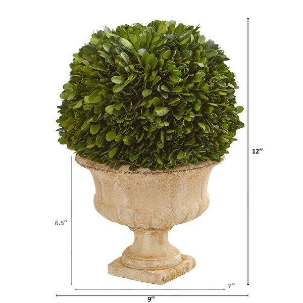 Nearly Natural 12" Boxwood Topiary Ball Preserved Plant in Decorative Urn - Green