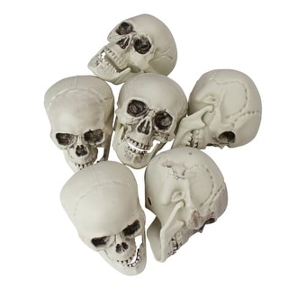 Pack of 6 Skull Head Halloween Decorations 3.5" - White