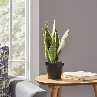 Morrow Artificial Tabletop Snake Plant by Christopher Knight Home