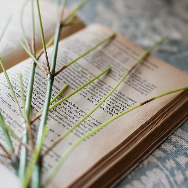 RusticReach Artificial Zen Style Bamboo Stem 30" Tall