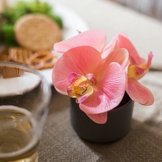 RusticReach Mini Real Touch Potted Orchid in Peach Pink