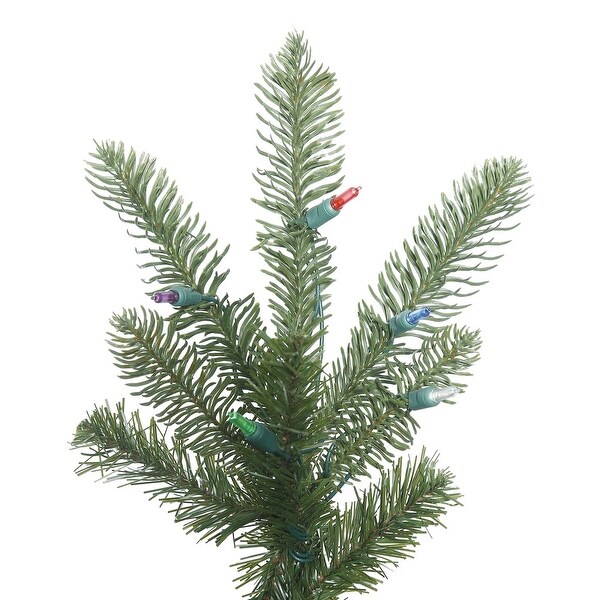 Vickerman 6' Alberta Spruce Artificial Christmas Tree, Unlit - Green