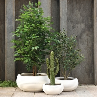 Aoodor Plant Pots with Drain Hole Set of 3,5.5x6x9 inch Flower Pots Outdoor Indoor,Magnesium Oxide Planter for All House Plants