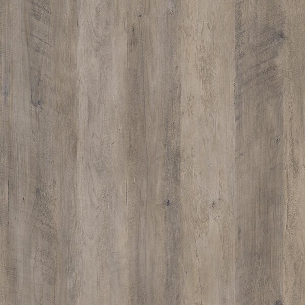 Avenue Greene Derzig 36 inch 2 Door Storage Cabinet