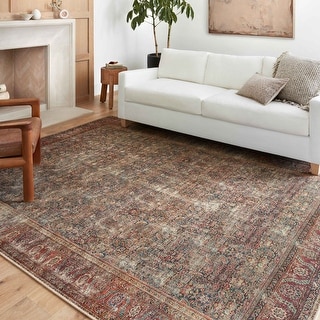 Alexander Home Sophia Printed Distressed Floral Vintage Area Rug