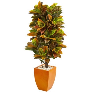 5.5' Croton Artificial Plant in Orange Planter (Real Touch)